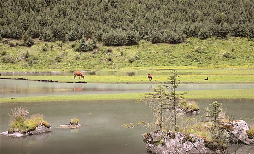 去甘孜 邂逅絕美湖泊海子！