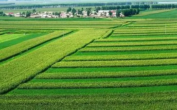 農(nóng)田建設(shè).webp.jpg 農(nóng)田建設(shè).webp.jpg