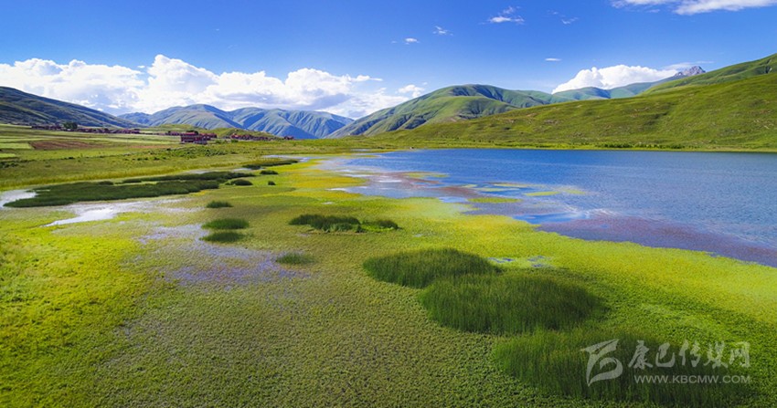 一起來(lái)收錄甘孜動(dòng)人的夏天